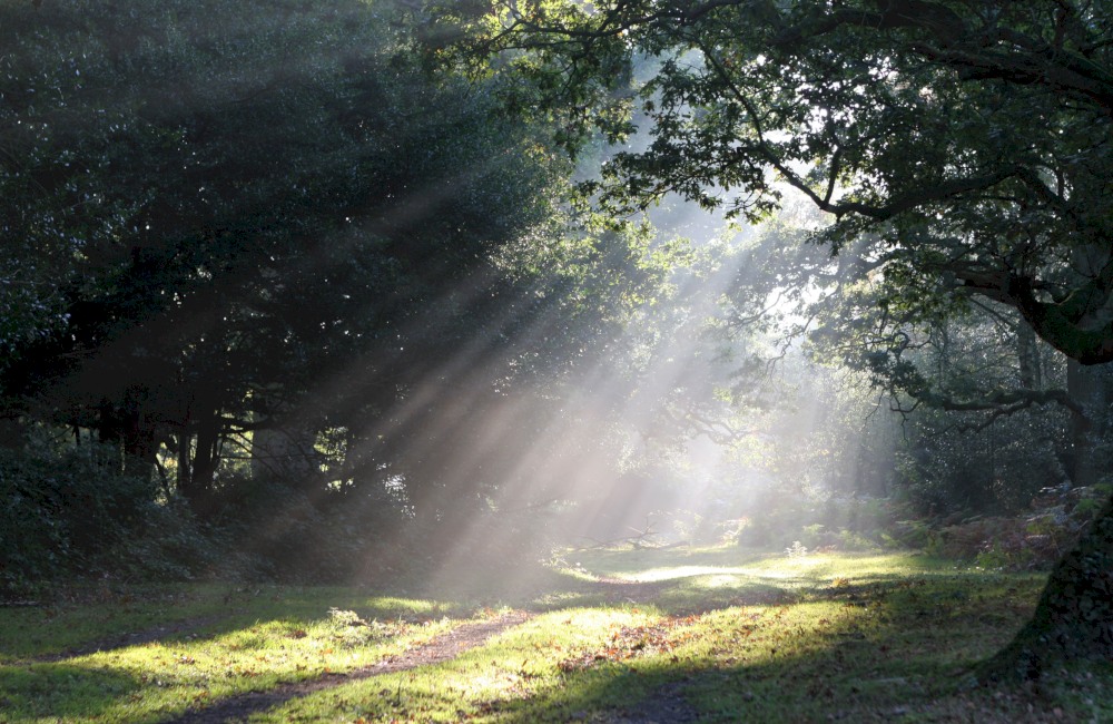 14_shaftoflight_resultaat-1